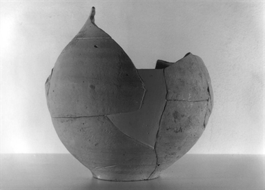 Brocca/ corpo ovoide